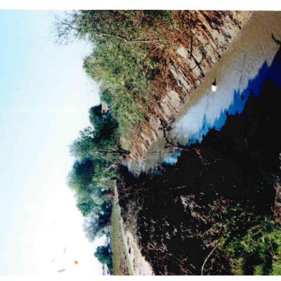 Doc09505020230711190836 099